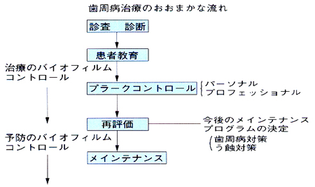 プラーク・歯石除去の基本と原則